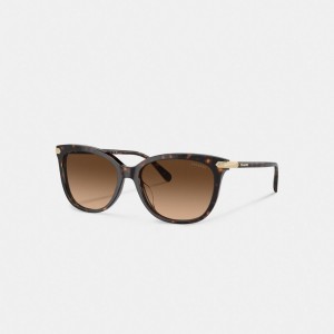 Coach Wrap Around Hangtag Square Sunglasses Kadın Gözlük Renkli | 10598QGFA