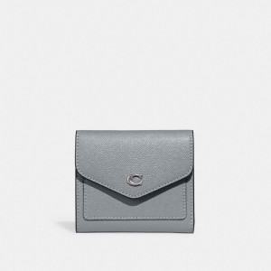 Coach Wyn Small Wallet Kadın Küçük Cüzdan Gümüş Gri Mavi | 51830OQRG